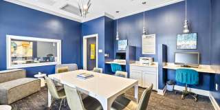 Olympus Carrington Gallery 19