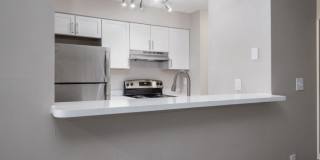 The Berryessa Gallery 7