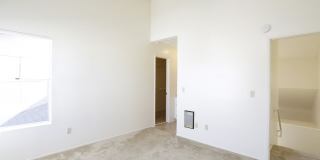 Benchmark Gallery 11