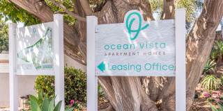 Ocean Vista Gallery 16