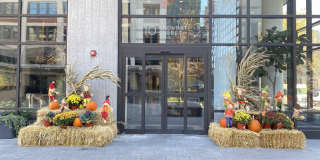 10 PROVOST ST Gallery 1