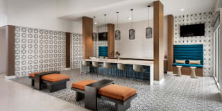 Roadrunner on McDowell Gallery 4