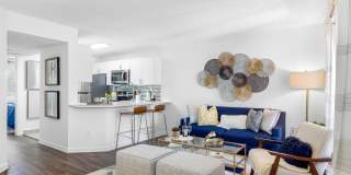 Boca Arbor Club Gallery 17