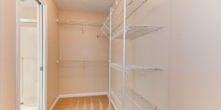 611 Butler Springs Circle Gallery 28