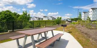 Ltd. Findlay Gallery 22