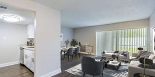 Silver Palms Gallery 4