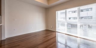 Next on Sixth Gallery 61