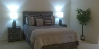 Winter Rental Available October-April 2027 Gallery 19