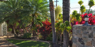Spacious Home Close to Beaches, Shopping and More in South Maui! Gallery 14