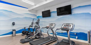 ReNew on Temple ReNew on Temple Gallery 24