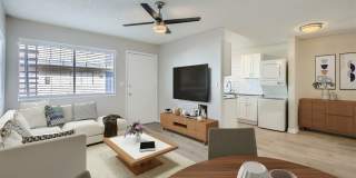 Rise at the Palms Gallery 37