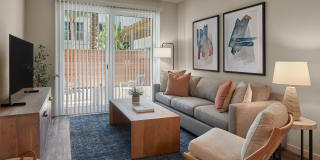 AVE Tampa Riverwalk Gallery 2