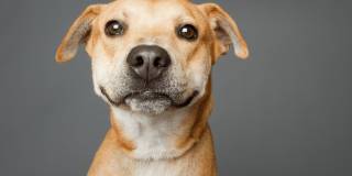 Portofino Vineyards Gallery 31