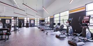 Axis 201 Axis 201 Gallery 15