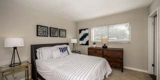 Cadia on the Loop Gallery 6