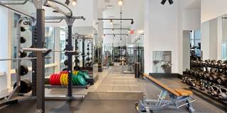 19 Dutch 19 Dutch Gallery 25