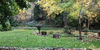 Nevada City Town-House Close to Downtown! Gallery 25