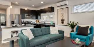 Quads 1894 Gallery 1