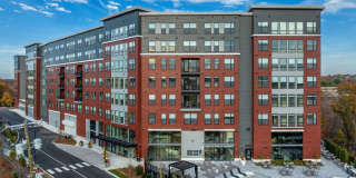 The 305, a Broadstone Community Gallery 66