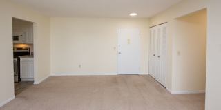 Chestnut Hill North Apartments Chestnut Hill North Apartments Gallery 55