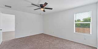 332 Elephants Ear Gallery 10