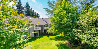 Black Lake Gallery 29