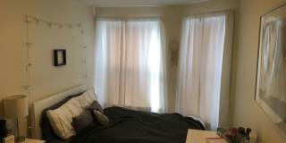 Charming 3 Bedroom-No Broker Fee Gallery 7