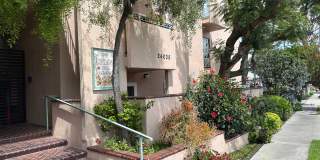 Corsican Apartments Gallery 1