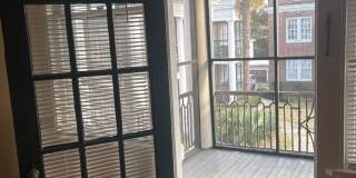 Colonial Court Gallery 10