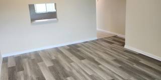 731 N Pine Island Road Gallery 3