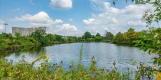 5112 KNAPP Place Gallery 33