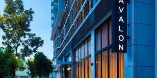 Avalon South Miami Gallery 78