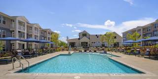 Alta Town Center Gallery 2