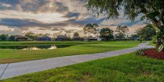 3553 MORGANS BLUFF Court Gallery 78