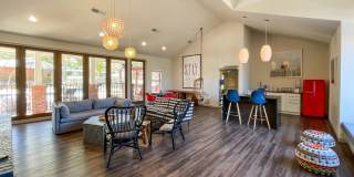 Tenison at White Rock Gallery 12