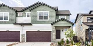 17627 Lemon Rye Loop Gallery 1