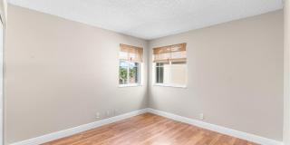 4490 Foxtail Lane Gallery 21