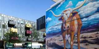 Lamar Union Gallery 66