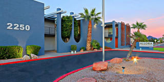 Allora Phoenix Gallery 16