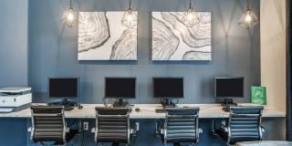 Palladium RedBird Gallery 33