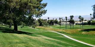 274 Vista Royale Circle E Gallery 11
