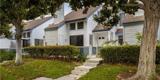 115 Fallingstar Gallery 1