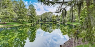 St. Johns Forest Gallery 20