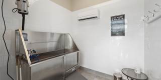Satyr Hill Gallery 30