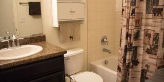 Great 3 Bed / 3 Bath with Garage! Open Floor Plan with Upgrades! Gallery 10