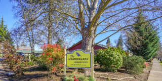Meadowlark Apartments Gallery 1