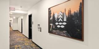 The Pine Gallery 11