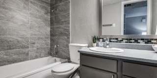 The Borough Gallery 12