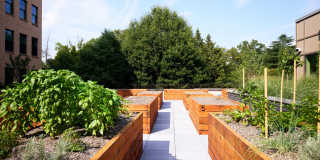 Broad & Washington Gallery 26