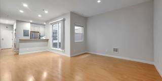 481 Clementina Street Gallery 24